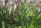 Greendale NSWresidential-landscaping-31.jpg; ?>