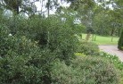 Greendale NSWresidential-landscaping-35.jpg; ?>
