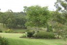 Greendale NSWresidential-landscaping-40.jpg; ?>